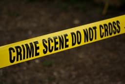Analyzing Crime Trends: From Raw Data to Actionable Insights