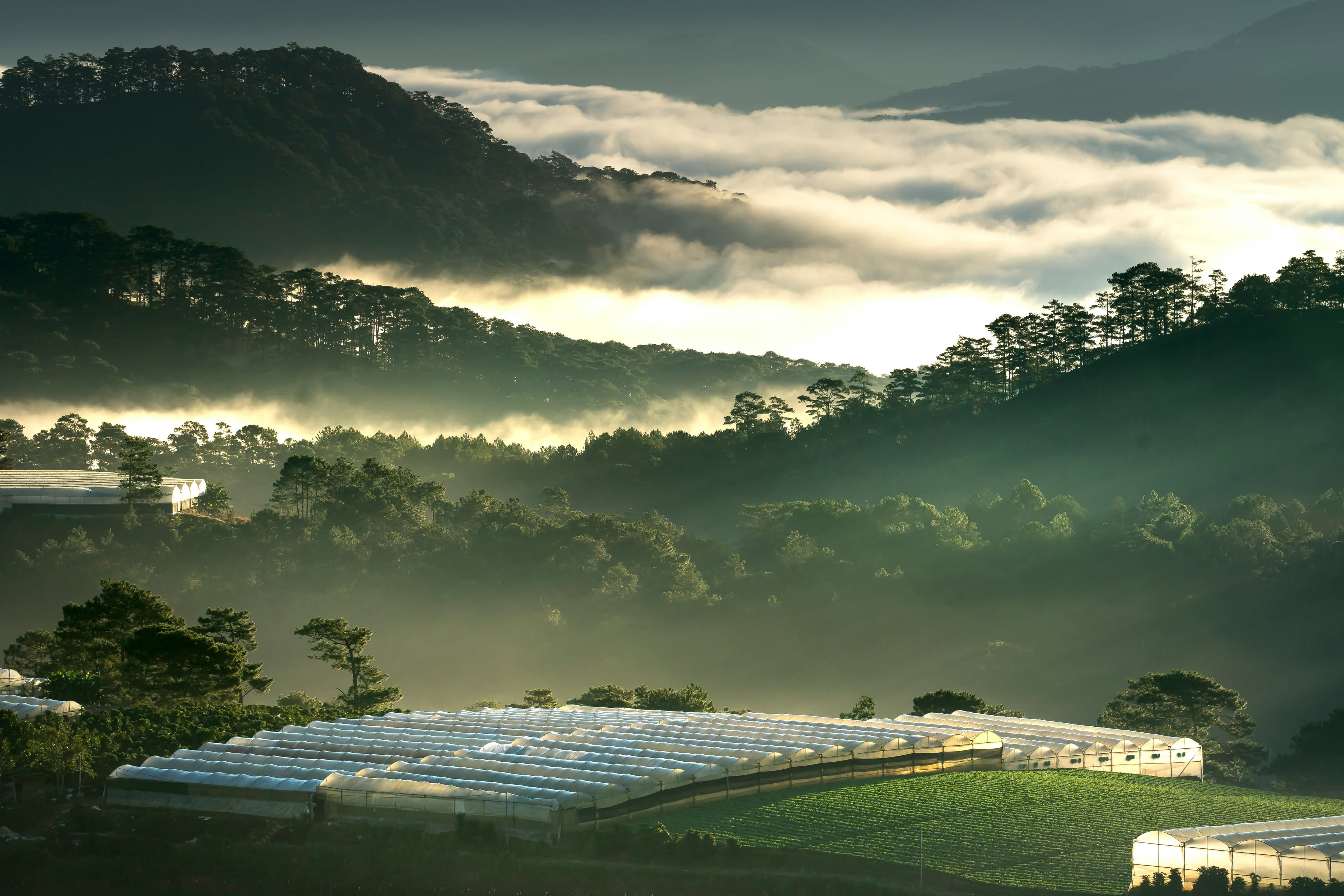 Guide to Creating Impact, ESG and Sustainability Reports