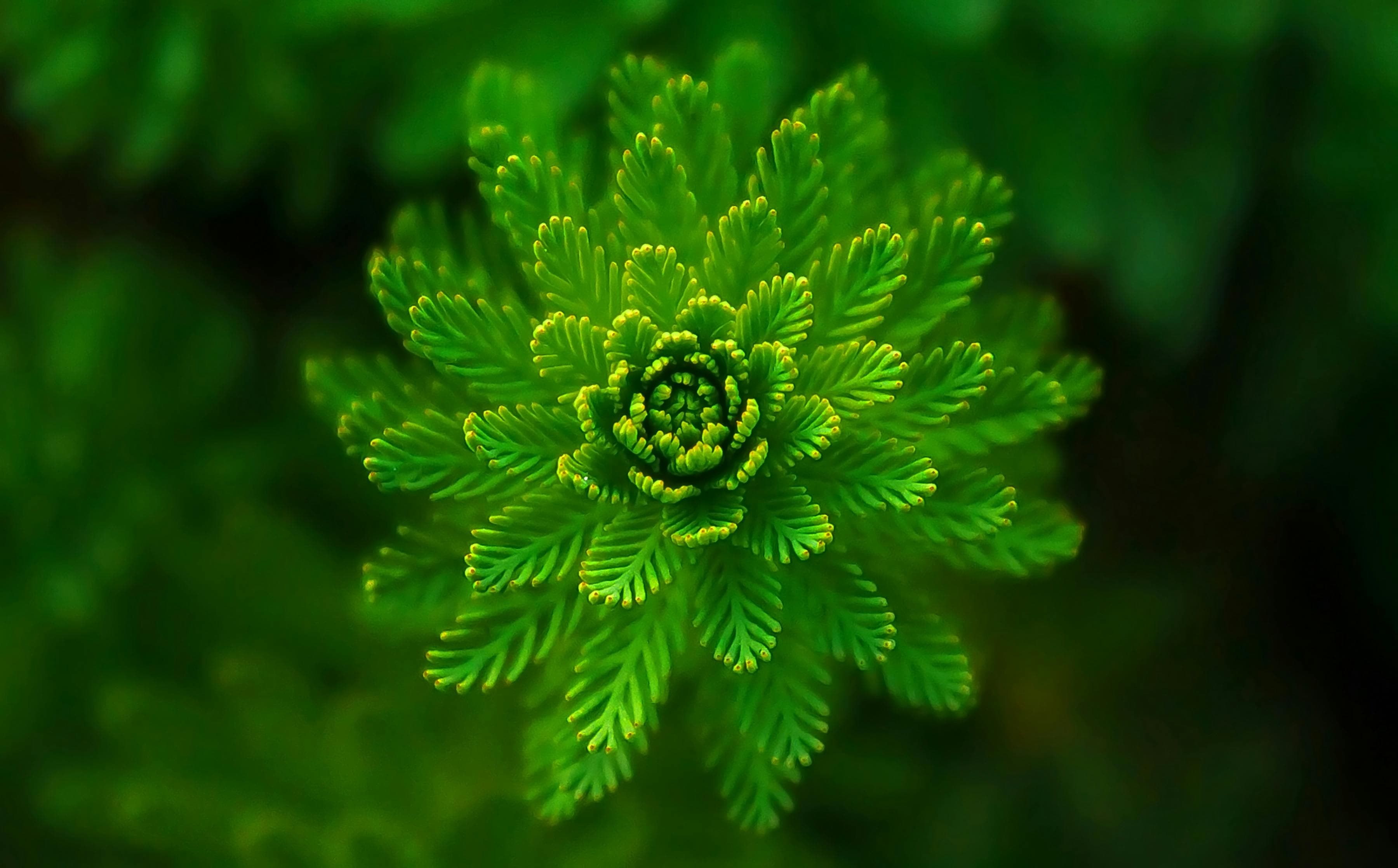 ESG vs. Sustainability Reporting: What's the Difference?