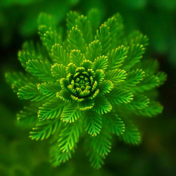 ESG vs. Sustainability Reporting: What's the Difference?