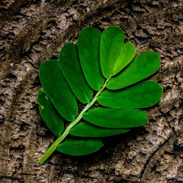 Design and Accessibility