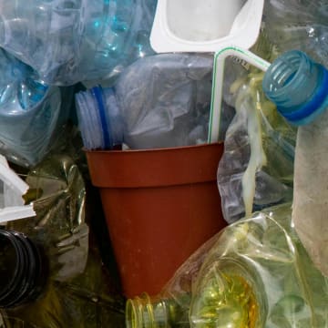 Why Sustainability Reporting Matters