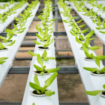 Structuring the Report — Sections and Flow