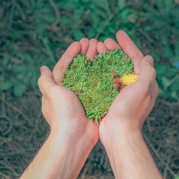 Writing the Report — Tone, Style, and Clarity