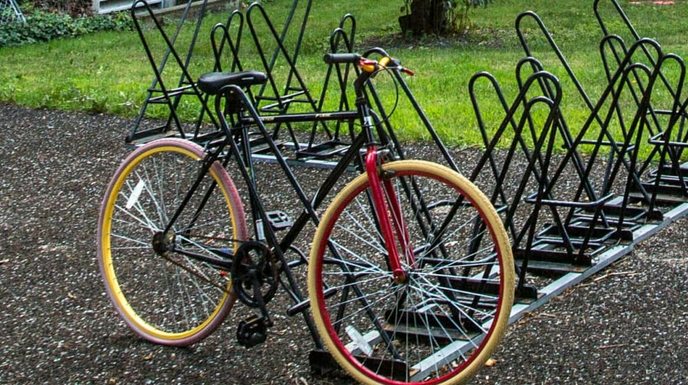 The Purpose of Alumni Magazines: 
Connecting, Engaging, and Inspiring Giving