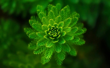 ESG vs. Sustainability Reporting: What's the Difference?